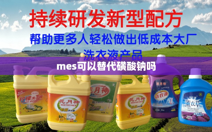 mes可以替代磺酸钠吗