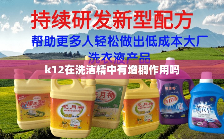 k12在洗洁精中有增稠作用吗