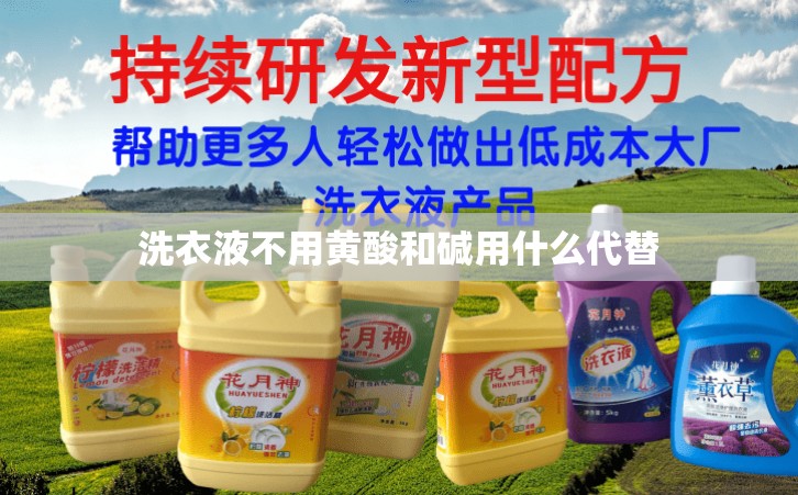 洗衣液不用黄酸和碱用什么代替