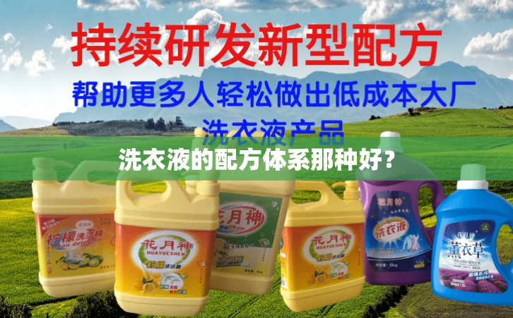 洗衣液的配方体系那种好？